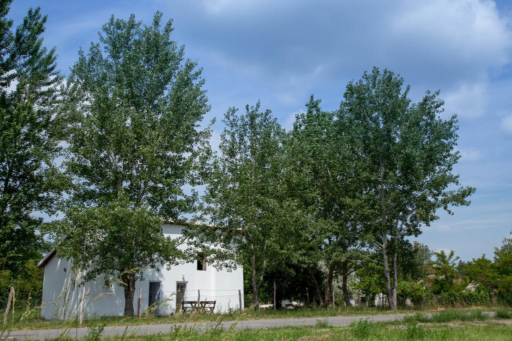 Hotel Casa Bella & Nova Palić Exterior foto